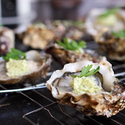 Tarbouriech Oysters