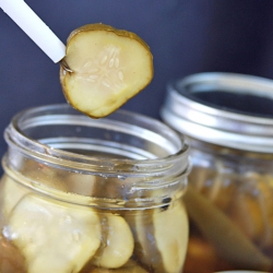 Spicy Dill Pickles