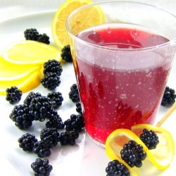 Blackberry Italian Soda