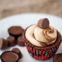 Peanut Butter Cup Cupcakes