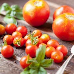 Recipes for Vine Ripened Tomatoes