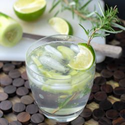 Gin and Tonic