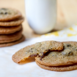 Chocolate Chunk Cookies