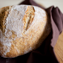 Artisan Bread in 5 Minutes