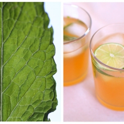 Iced Bubbly GingerMint Lemonade Tea