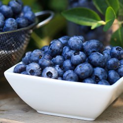 Blueberries