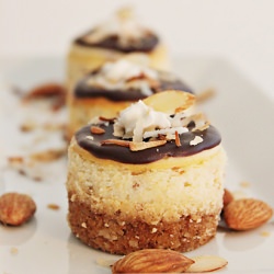 Almond Joy Mini Cheesecakes