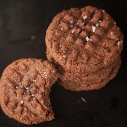 Chocolate Peanut Butter Cookies