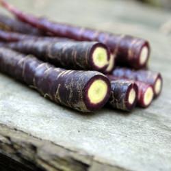 Purple Carrots