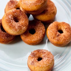 Mini Cinnamon and Sugar Donuts