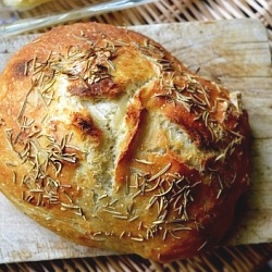 Artisan Rosemary Bread