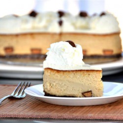 Peanut Butter Cheesecake