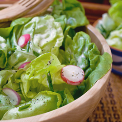 Bibb Lettuce Salad