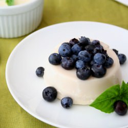 Panna Cotta