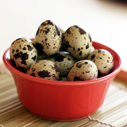 Quail Eggs