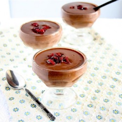 Chocolate Cranberry Pudding