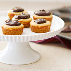 PB Chocolate Cheesecake Bites