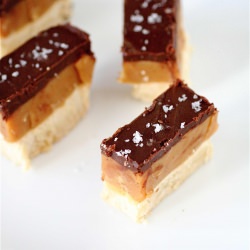 Salted Chocolate Caramel Bars