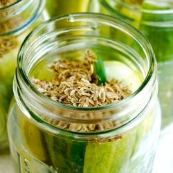 Homemade Dill Pickles