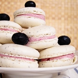 Earl Grey Macaron