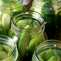 Crisp Garlic Dill Pickles