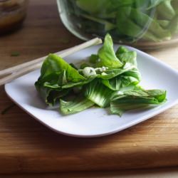 Baby Bok Choy Salad