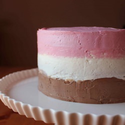 Chocolate Cake with Neapolitan Frosting