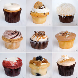 Chicago Cupcake Reviews