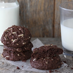 Chocolate Mint Brownie Cookies