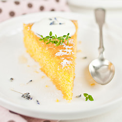 Polenta Olive Oil Cake