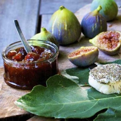 Fig Jam with Goats Cheese