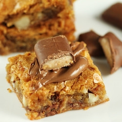 Heath and Macadamia Nut Blondies