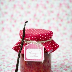 Plum Jam with Vanilla