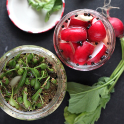 Pickled Radishes & Green Beans