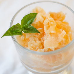 Cantaloupe Sorbet