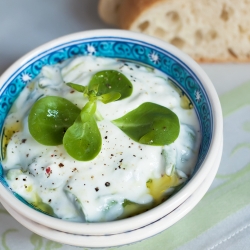 Purslane & Yoghurt Salad