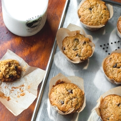 Pumpkin Chocolate Chip Muffins