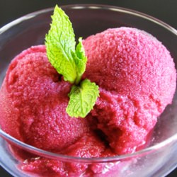 Red Wine & Raspberry Sorbet