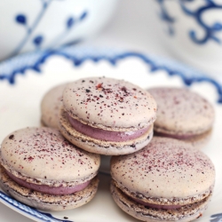 Blueberry Cream Cheese Macarons