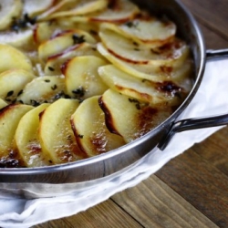 Potato Gratin