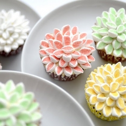 Chrysanthemum Cup Cakes