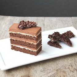 Chocolate Hazelnut Cake