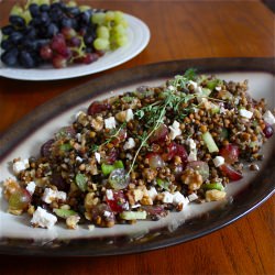 Lentil Salad w/ Grapes & Walnut