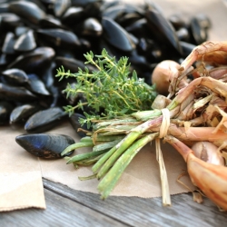 Mussels with White Wine