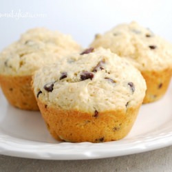 Peanut Butter Chocolate Chip Muffin