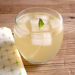 Ginger Lemonade with Fresh Mint