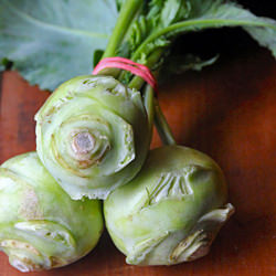 Kohlrabi – the German Turnip