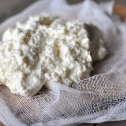 Homemade Ricotta