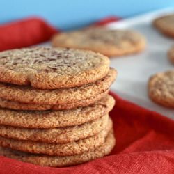 Gluten-Free Snickerdoodles