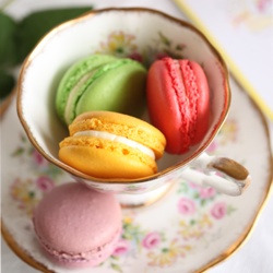 Spring Summer Macaron Collection